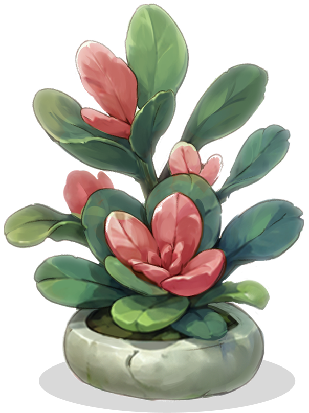 Succulent concept art