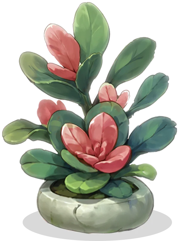 Succulent concept art